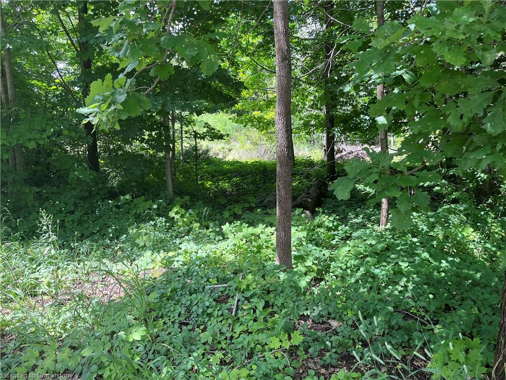 12 Suter Drive Property Photo 8