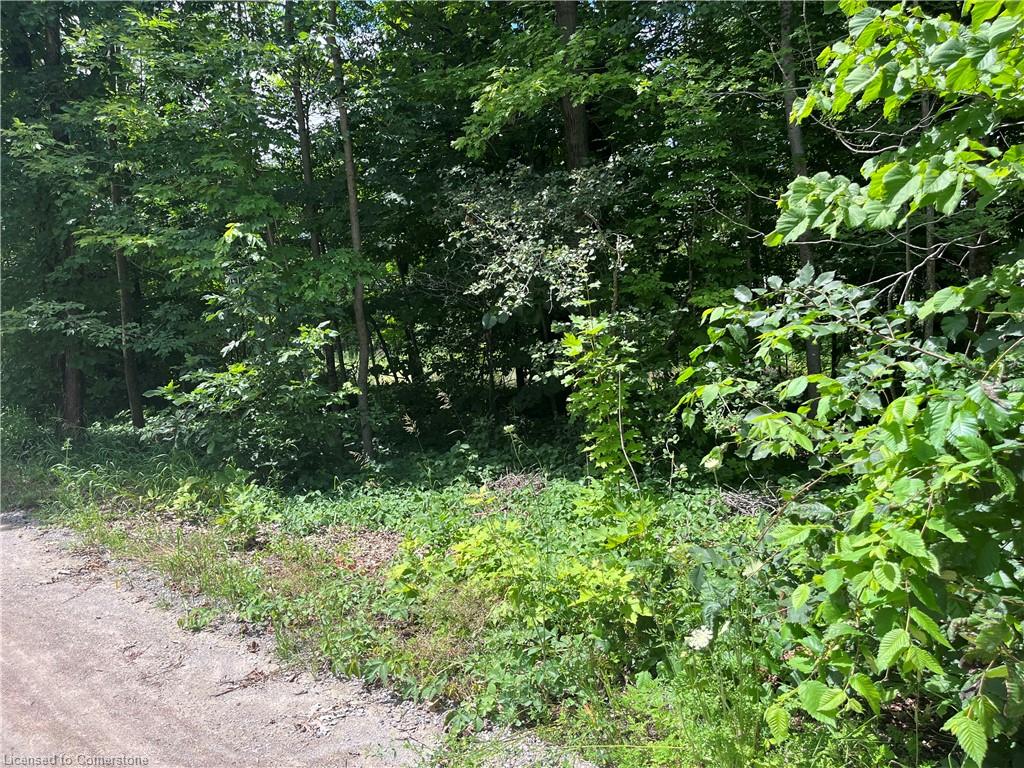 12 Suter Drive Property Photo 9