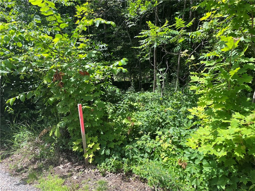 12 Suter Drive Property Photo 10