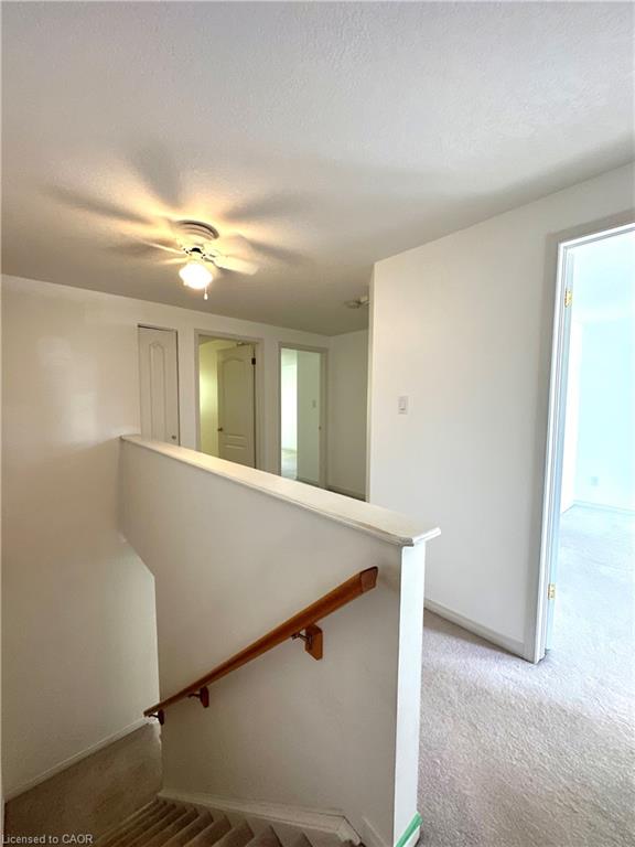 152 Montgomery Boulevard Property Photo 9