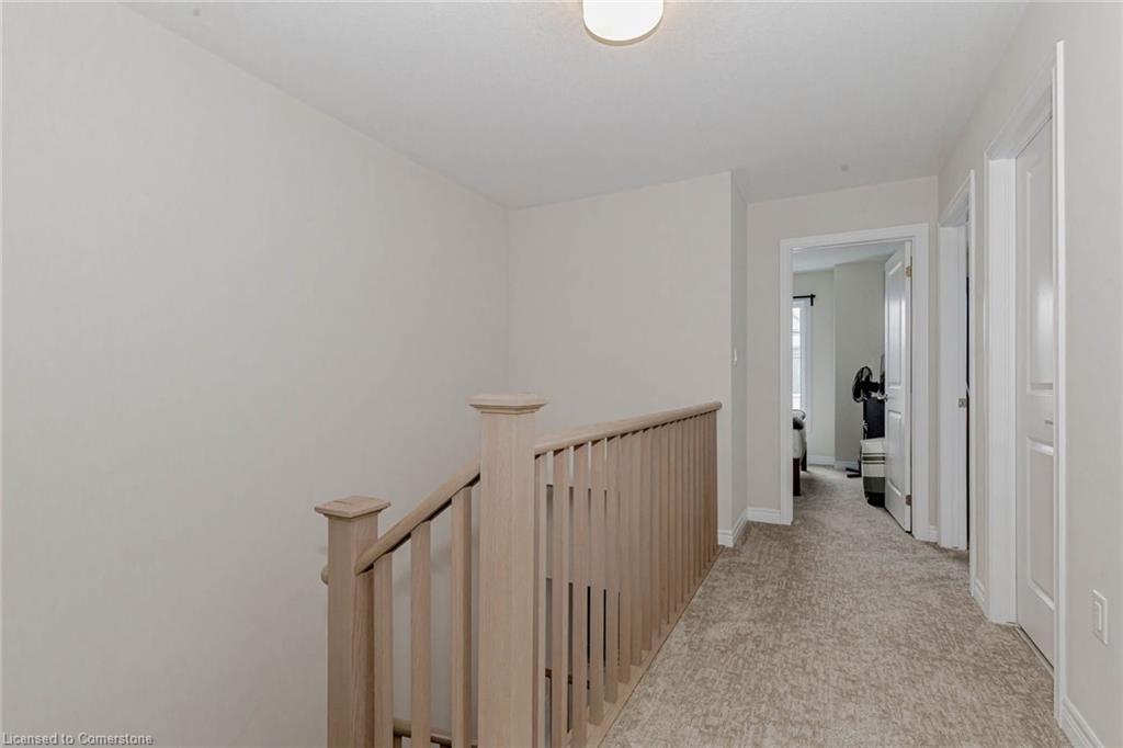 3 Folcroft Street Street Property Photo 36