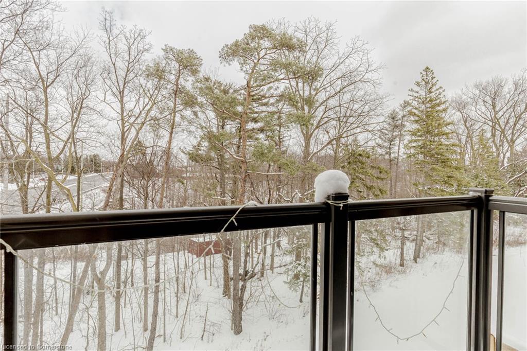 3 Folcroft Street Street Property Photo 44