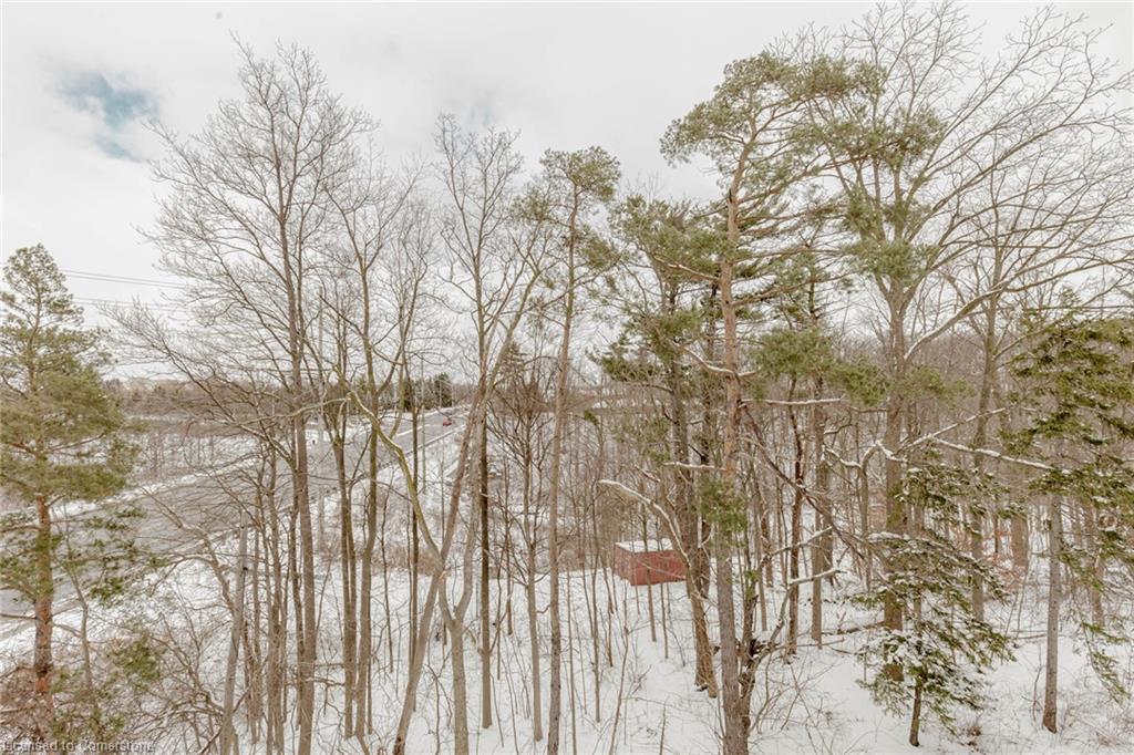 3 Folcroft Street Street Property Photo 45