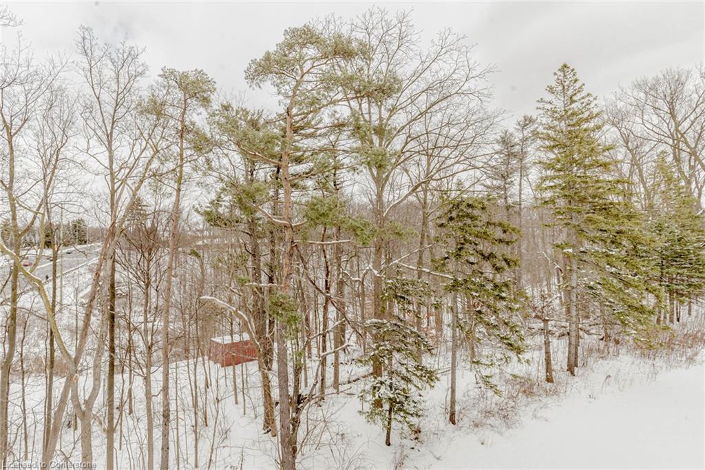 3 Folcroft Street Street Property Photo 46