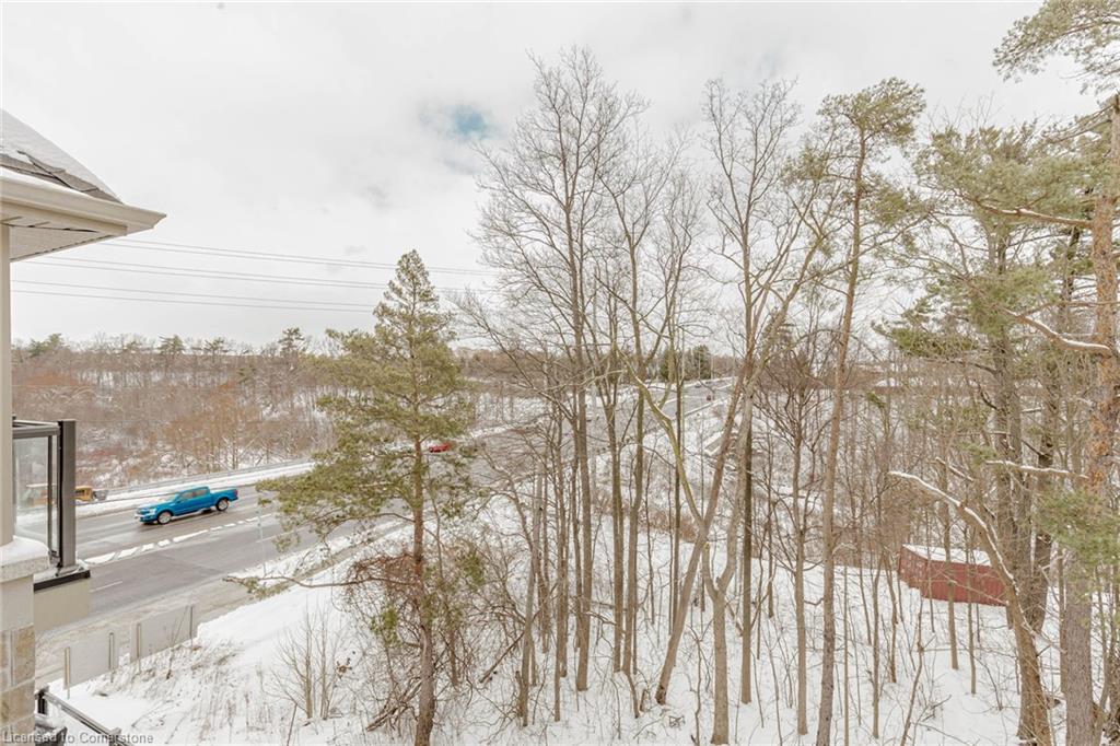 3 Folcroft Street Street Property Photo 47