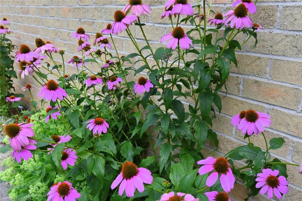 20-644 Upper Paradise Road Property Photo 41