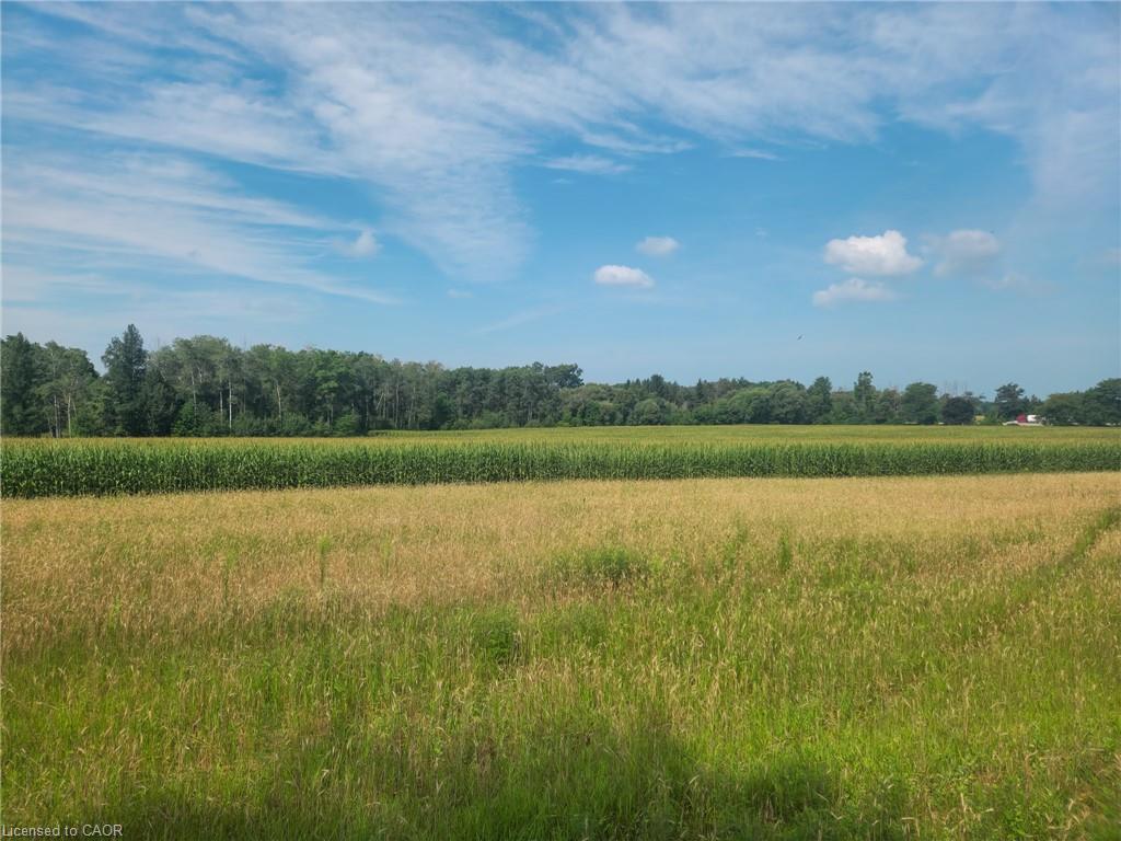 766485 Township Road 5 Road Property Photo 11