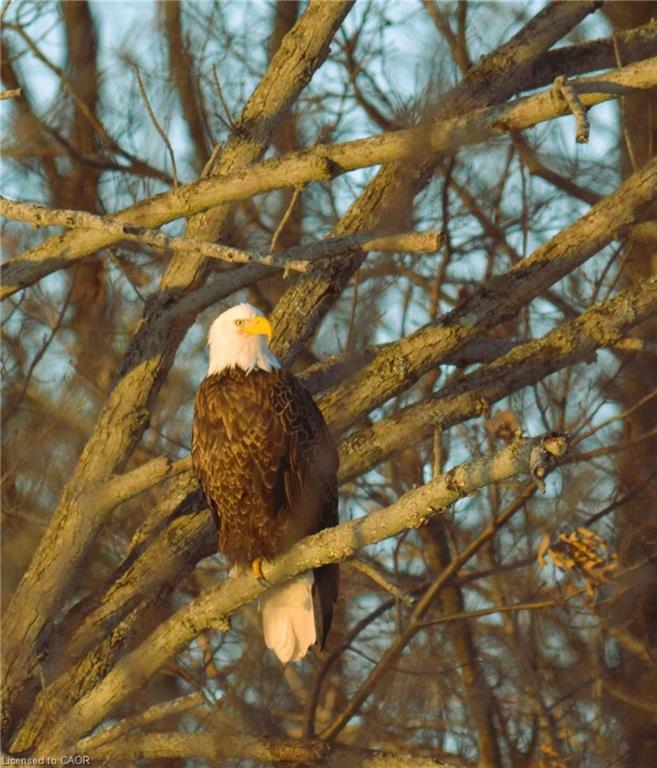 55 Riverbend Crescent Property Photo 47
