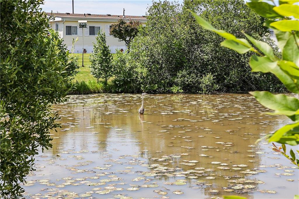 343-3033 Townline Road Property Photo 43