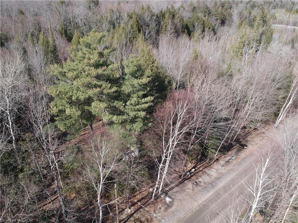 50 Concession 2 And 3 Road W Property Photo 2