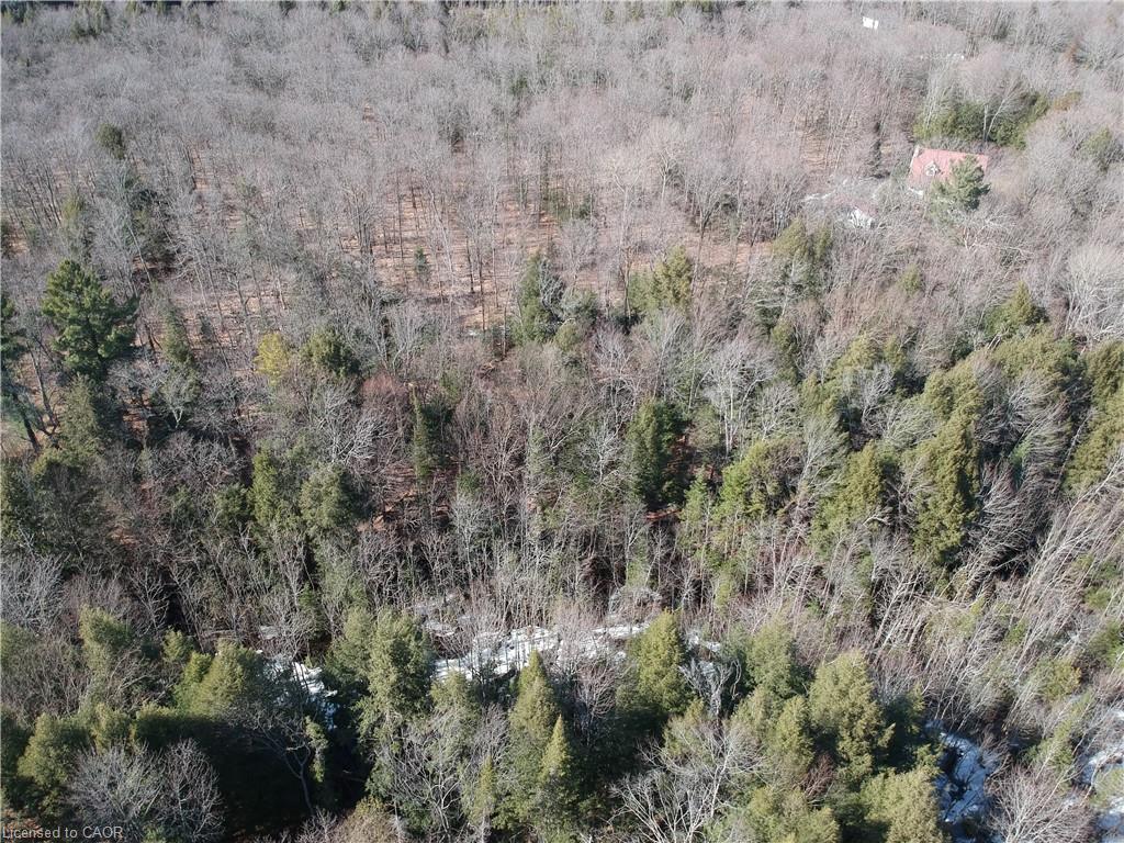 50 Concession 2 And 3 Road W Property Photo 3