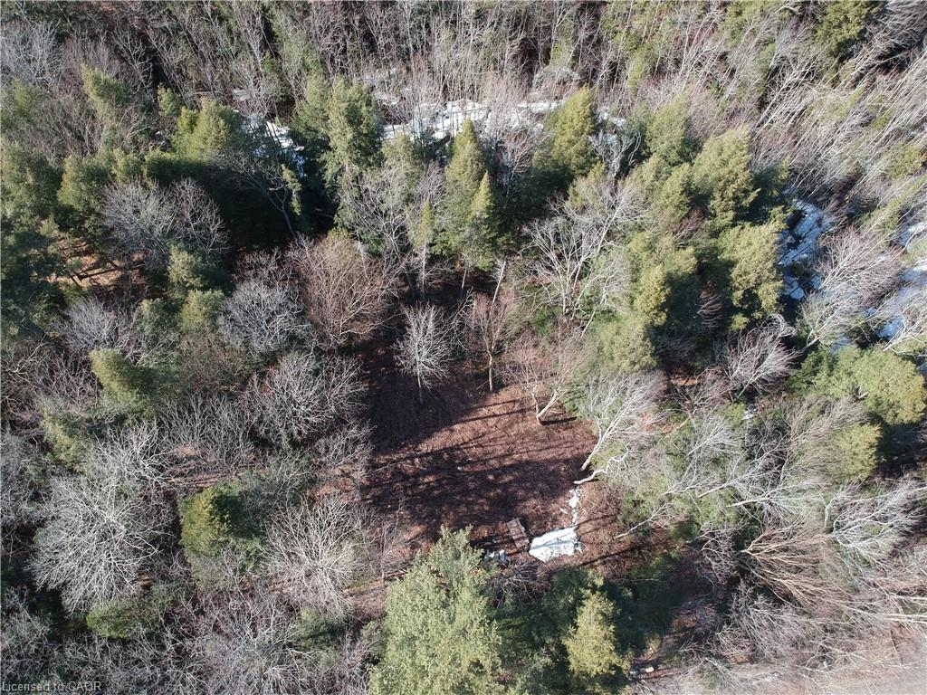 50 Concession 2 And 3 Road W Property Photo 4