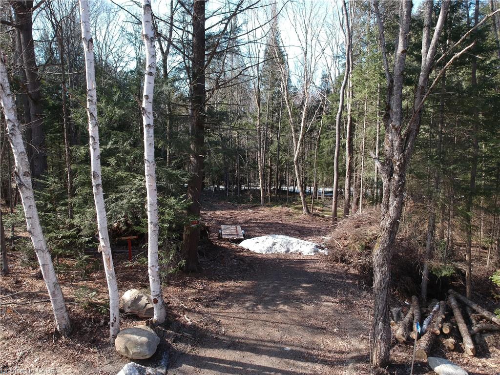 50 Concession 2 And 3 Road W Property Photo 5