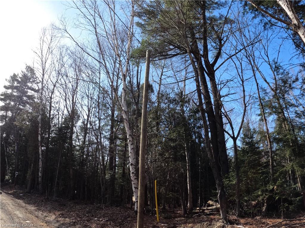 50 Concession 2 And 3 Road W Property Photo 6