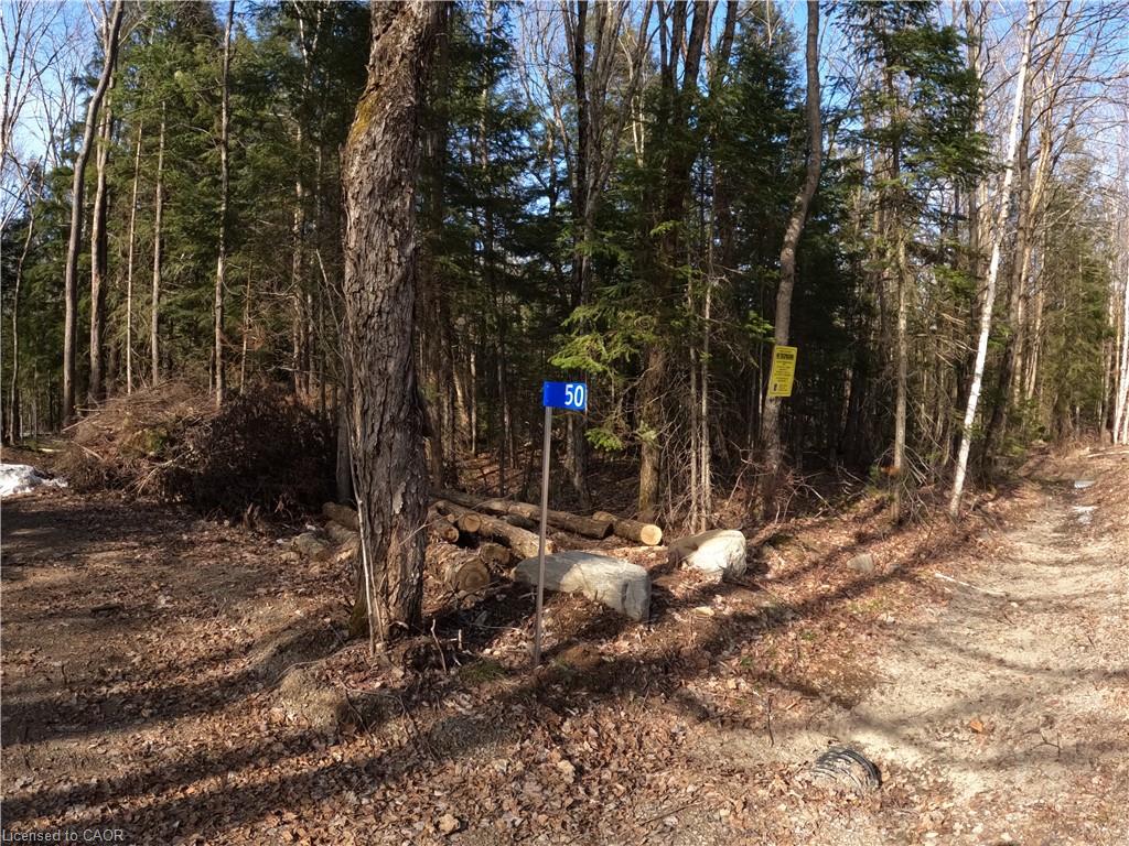 50 Concession 2 And 3 Road W Property Photo 7