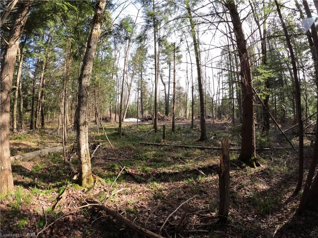 50 Concession 2 And 3 Road W Property Photo 9