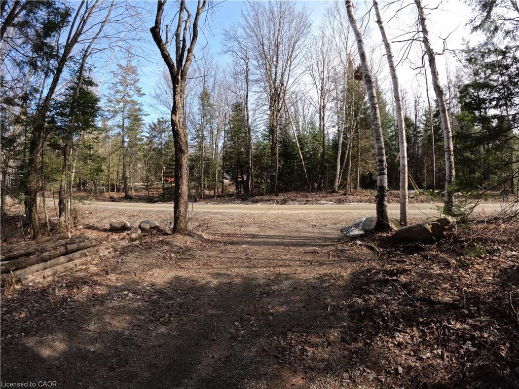 50 Concession 2 And 3 Road W Property Photo 10