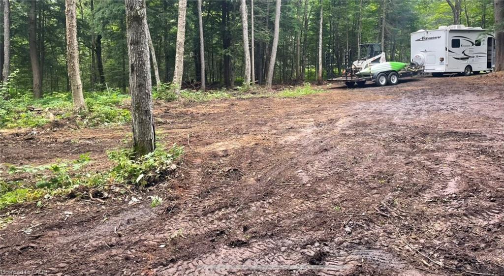 50 Concession 2 And 3 Road W Property Photo 12