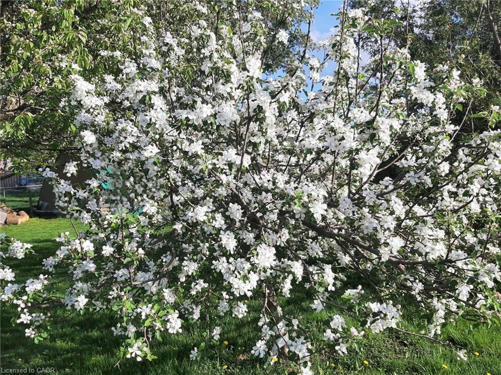 8554 Haldibrook Road Property Photo 38