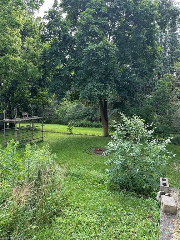 64 Frederick Street Property Photo 14