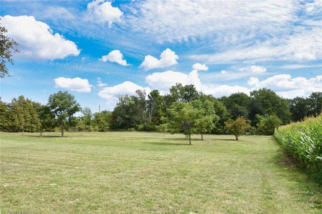 8125 Dickenson Road E Property Photo 19