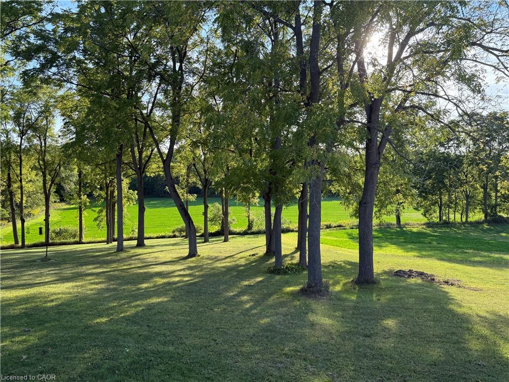649 East Quarter Line Property Photo 48