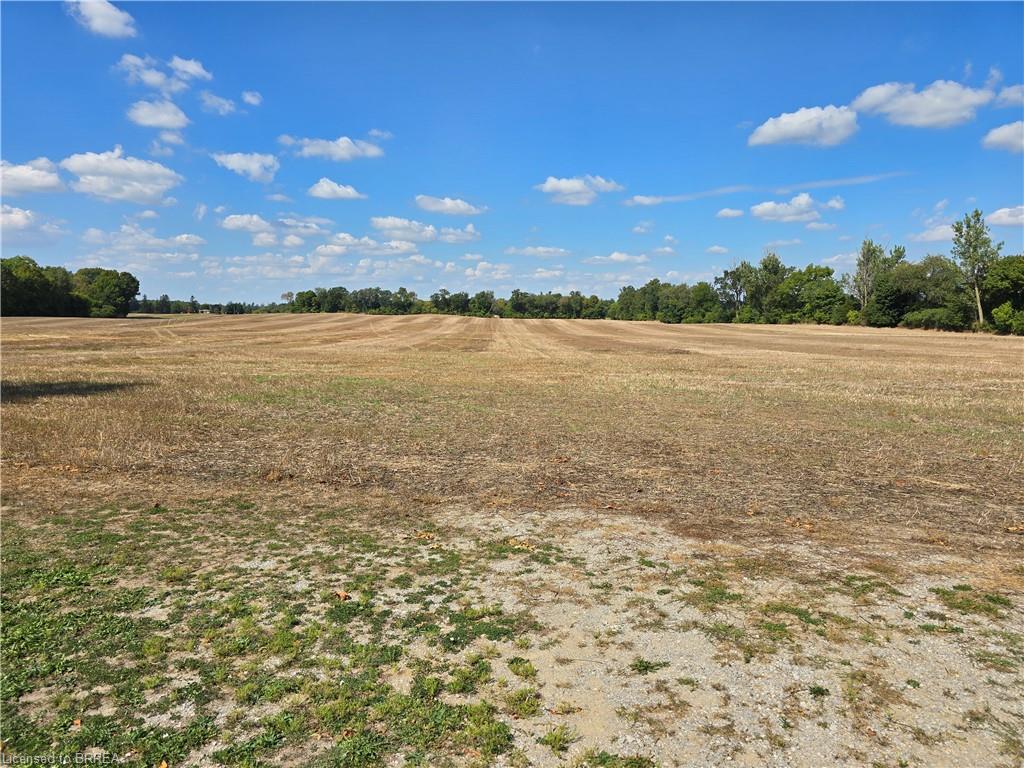 2626 Swimming Pool Road Property Photo 4