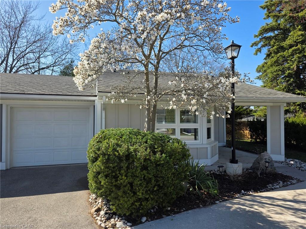 16 Sister Varga Terrace Property Photo 1