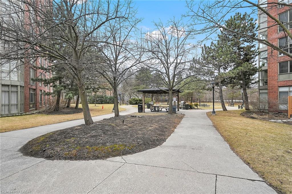 224-22 Southport Street Property Photo 40