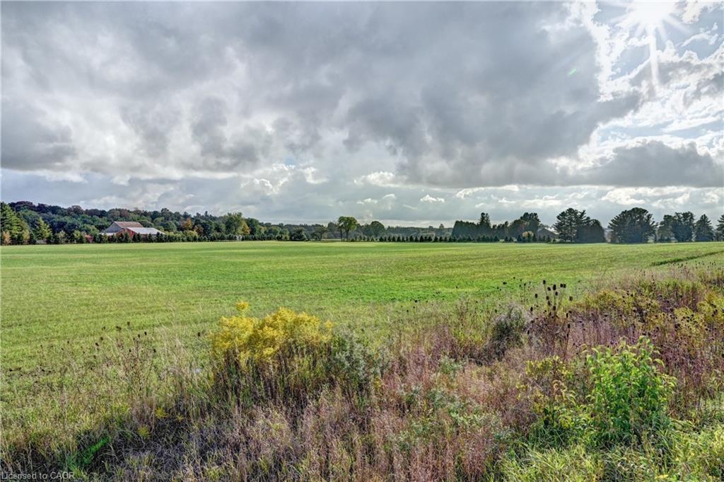 31 Crab Apple Court Property Photo 50