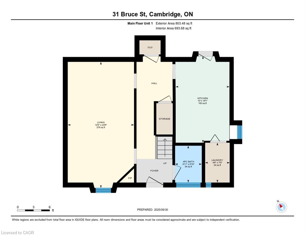 31 Bruce Street Property Photo 30