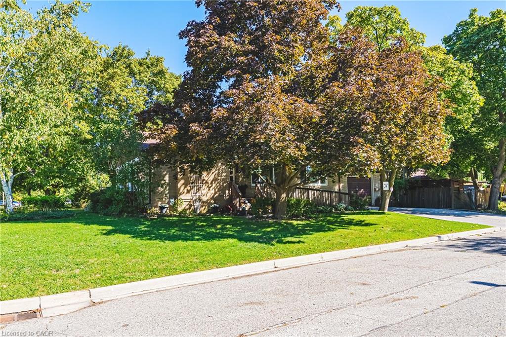 1 Norwich Place Property Photo 3