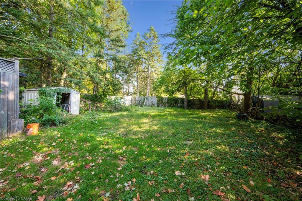 126 Waterloo Street Property Photo 7