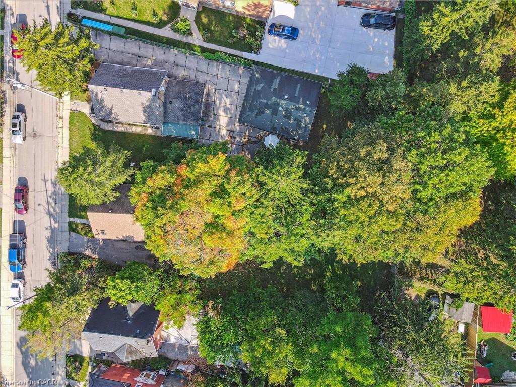 126 Waterloo Street Property Photo 11