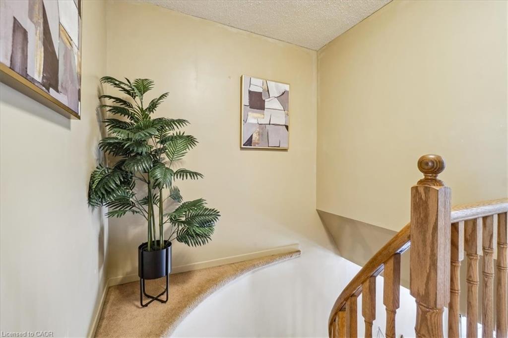 7 Rosset Valley Court Property Photo 20