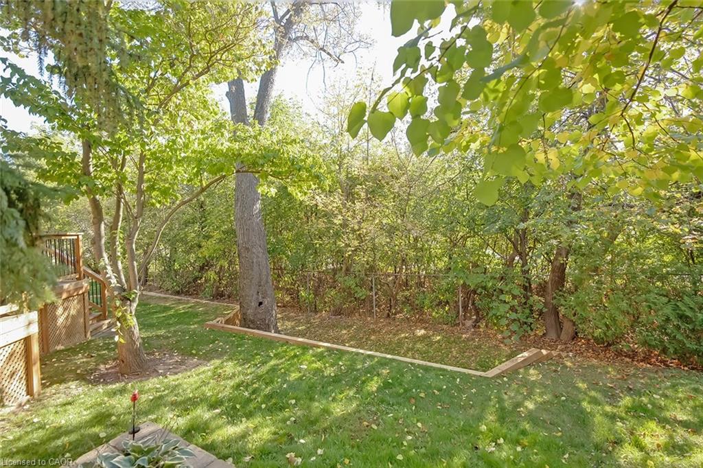 19-3230 New Street Property Photo 38