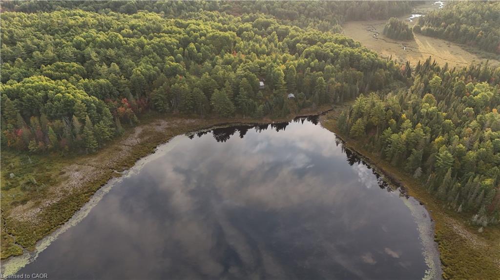 675 Dore Bay Road Road Property Photo 5