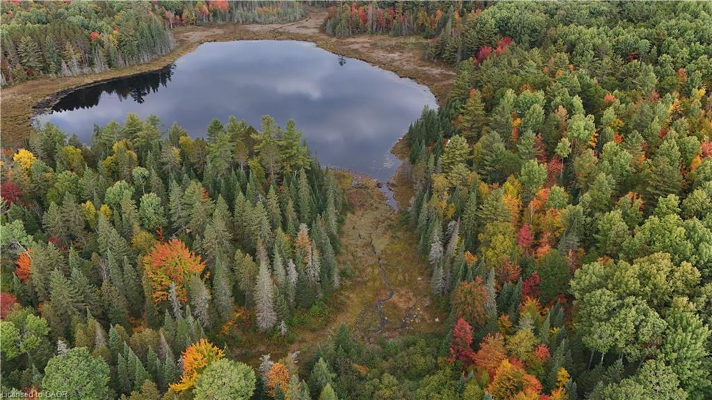 675 Dore Bay Road Road Property Photo 6