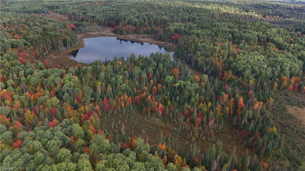 675 Dore Bay Road Road Property Photo 7