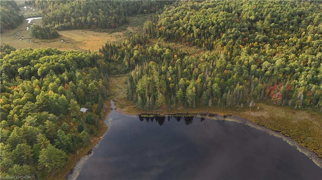 675 Dore Bay Road Road Property Photo 8