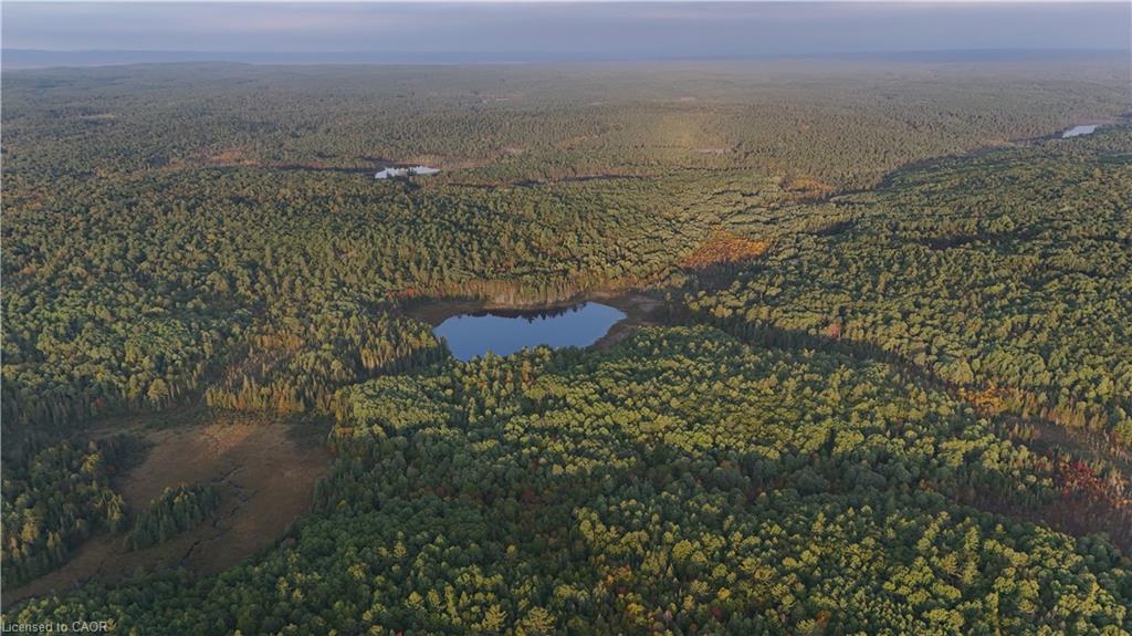 675 Dore Bay Road Road Property Photo 11