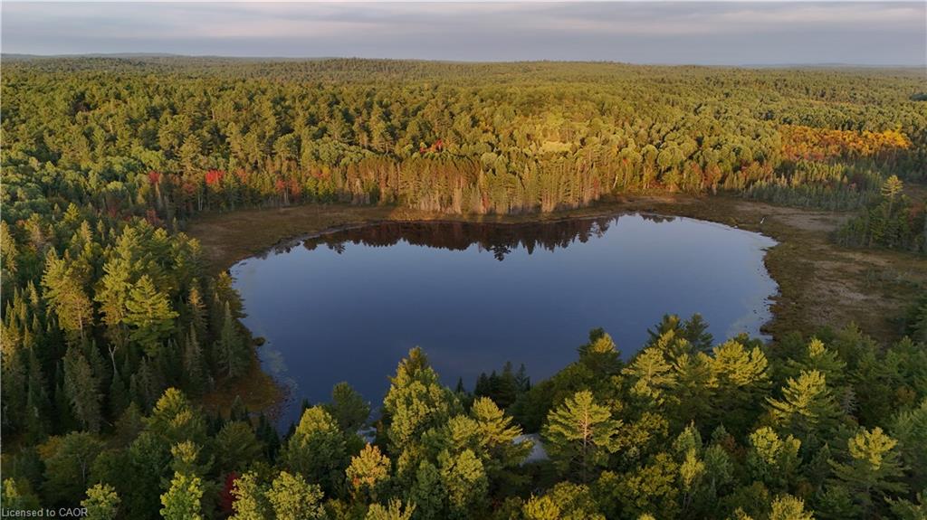 675 Dore Bay Road Road Property Photo 12