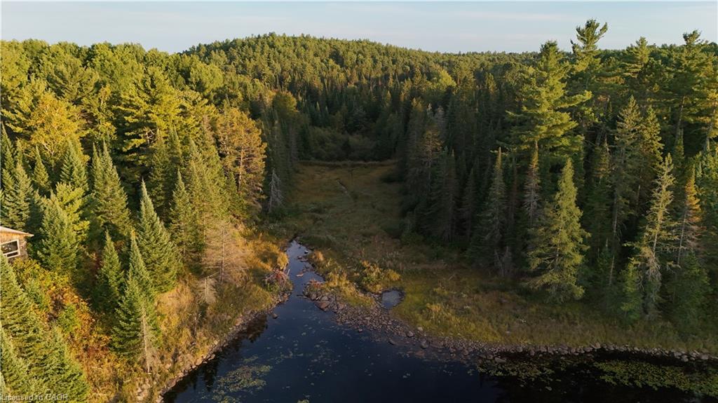 675 Dore Bay Road Road Property Photo 13