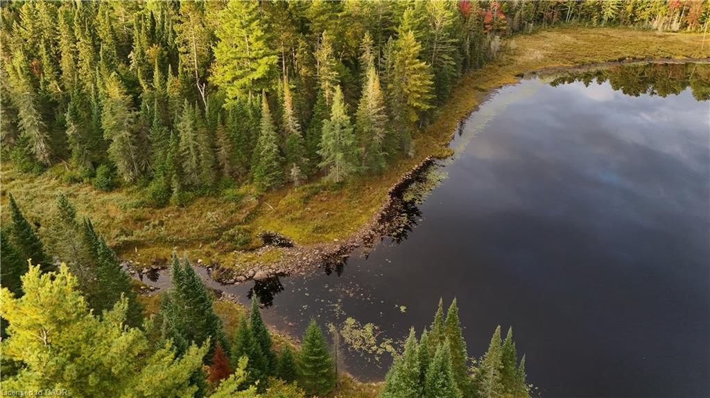 675 Dore Bay Road Road Property Photo 14