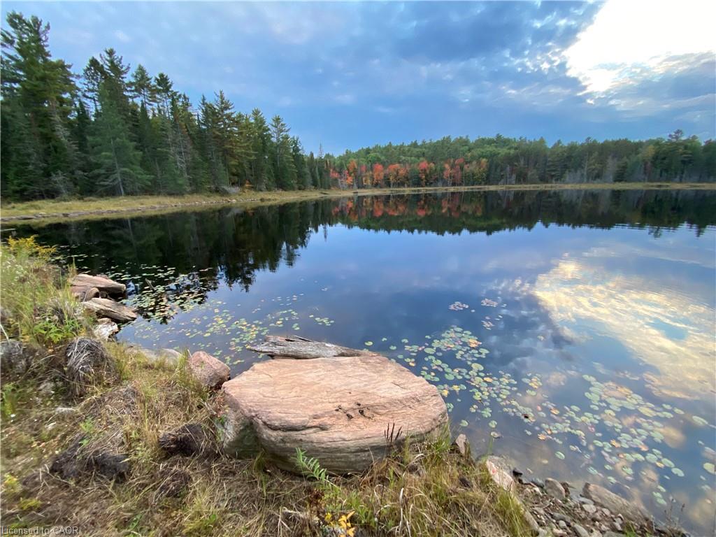 675 Dore Bay Road Road Property Photo 25