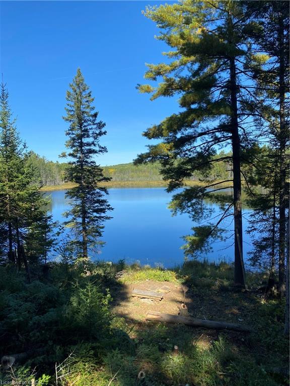 675 Dore Bay Road Road Property Photo 26