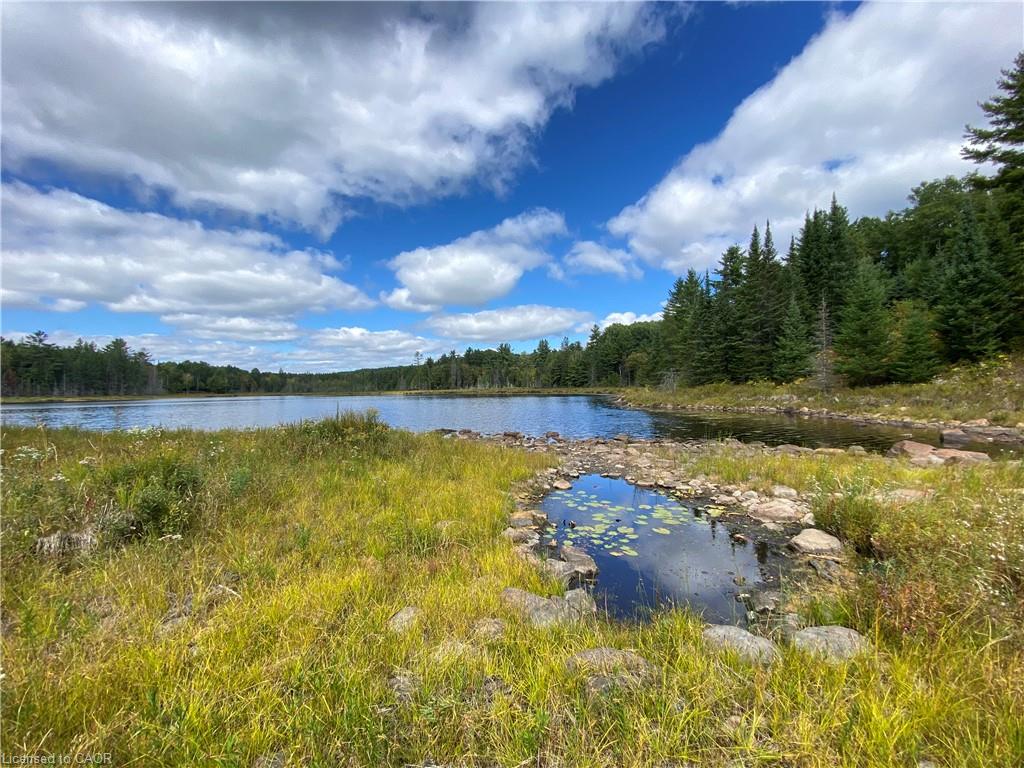 675 Dore Bay Road Road Property Photo 27