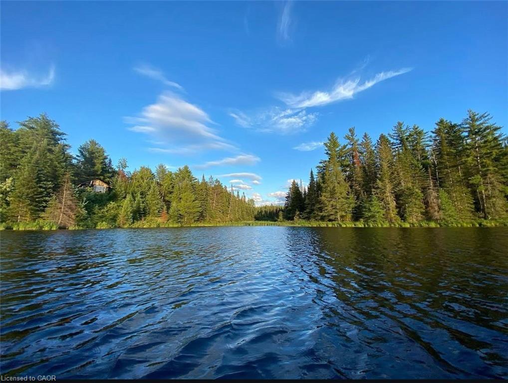 675 Dore Bay Road Road Property Photo 28