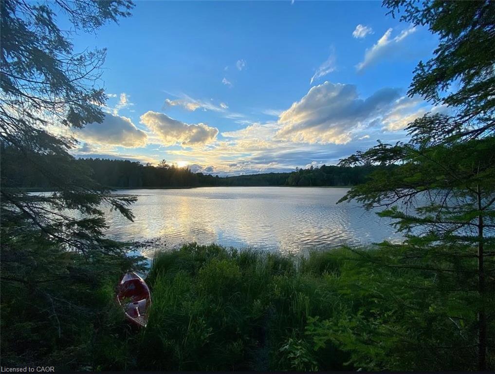 675 Dore Bay Road Road Property Photo 29