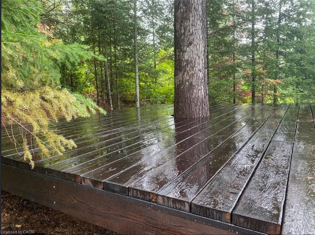 675 Dore Bay Road Road Property Photo 30